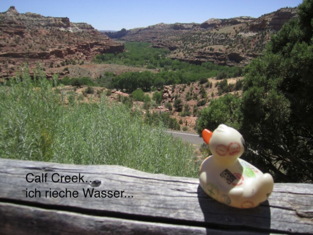 Calf Creek