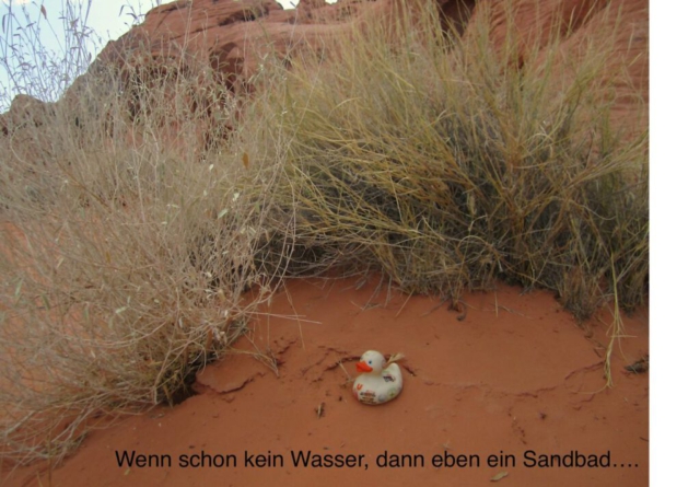 Travel Duck badet im Wüstensand