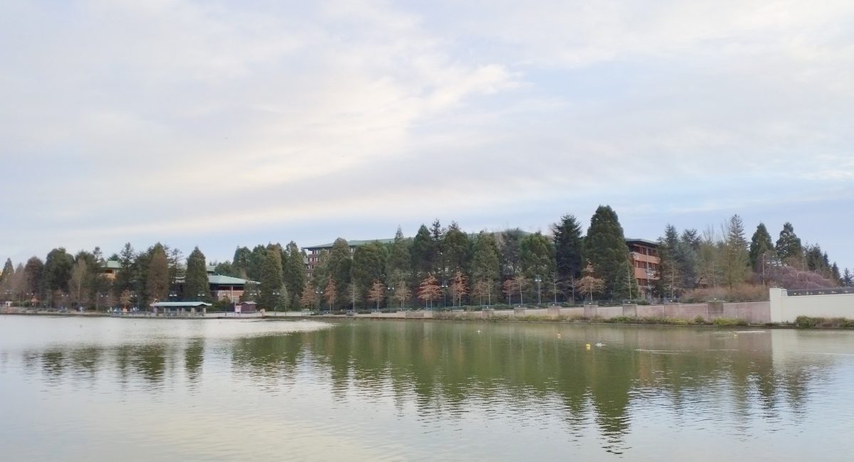Hotel Sequoia Lodge