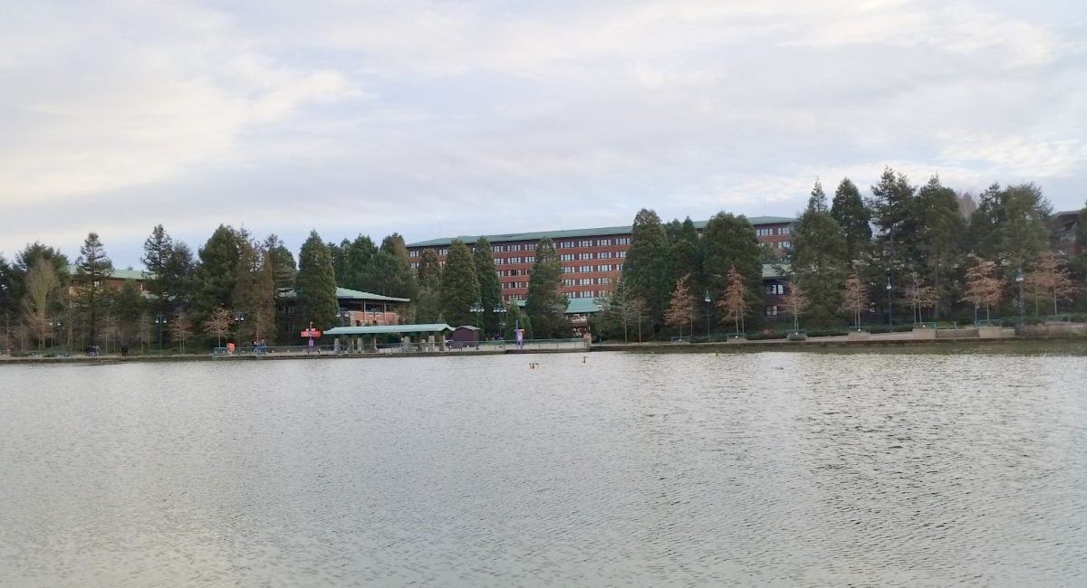 Hotel Seqouia Lodge