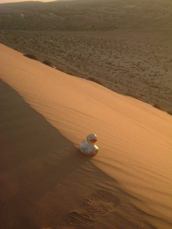 travel-duck-oman-srilanka (2)